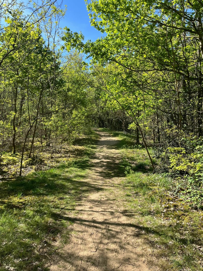 Rando VTT Sermoyer - Sermoyer