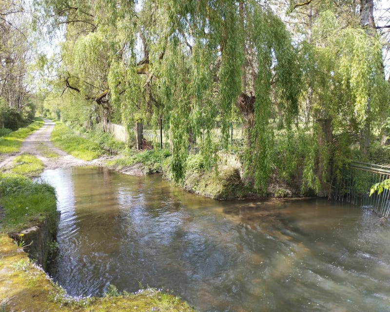 Balade dans la Val de Choisille - Fondettes