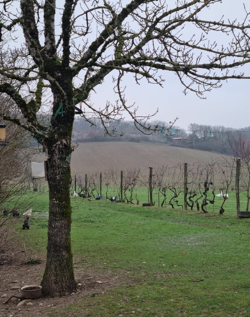 Décrassage à Buzet sur Tarn - Buzet-sur-Tarn