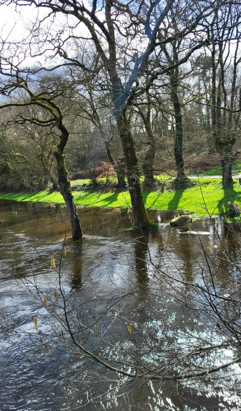 Marche auprès de l'Arz, et bois de la Madeleine - Molac