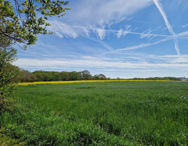 Wandel rond de vijvers van Saint Nazaire - Saint-Nazaire