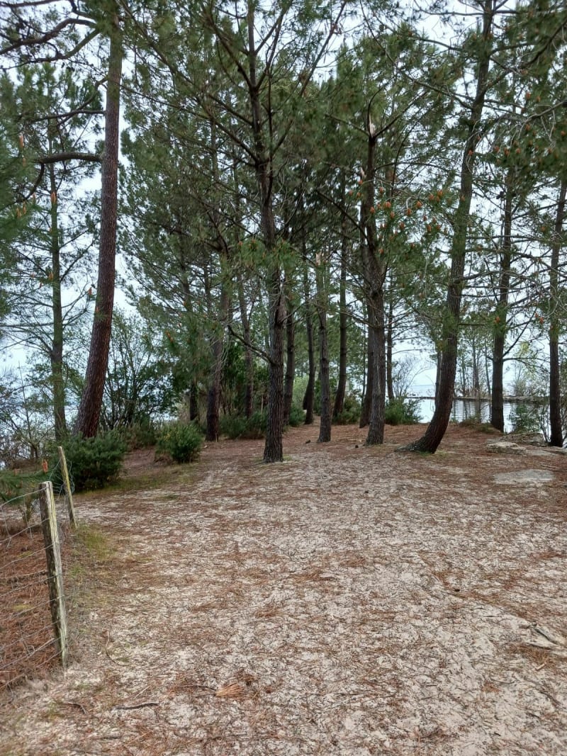 Balade à Biscarrosse - Biscarrosse