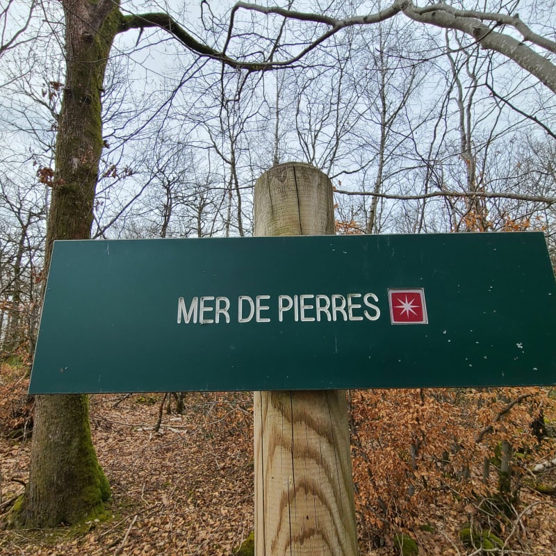 La mer de pierre et le Bois de Chaleutre - Collonge-en-Charollais