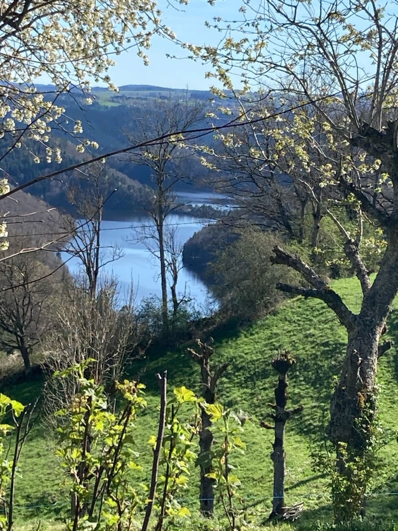 Marche jusqu’au château d’Alleuze - Villedieu