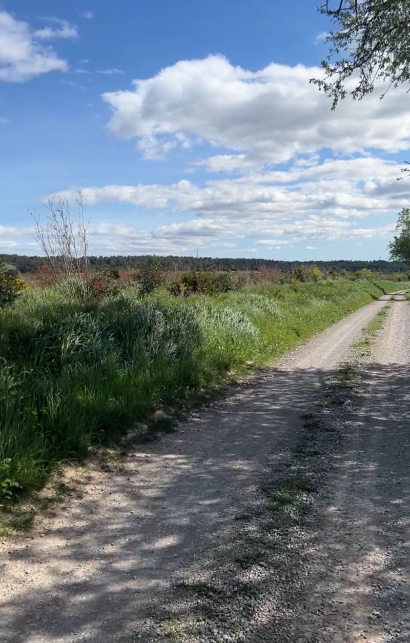 Dans la campagne entre chemins et petites routes de Vestric-et-Candiac - Vestric-et-Candiac