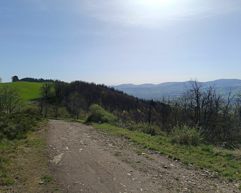 Boucle au départ du col de la Gachet - Valfleury