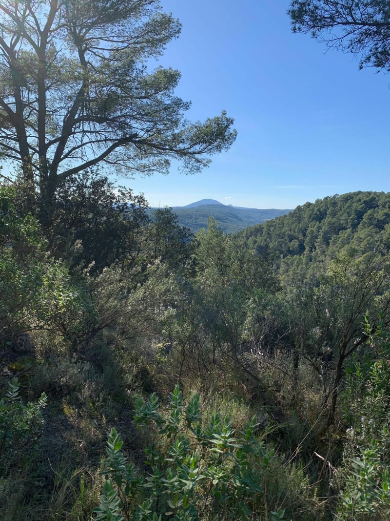 Randonnée bucolique sur le tour du Babadié - Saint-Antonin-du-Var