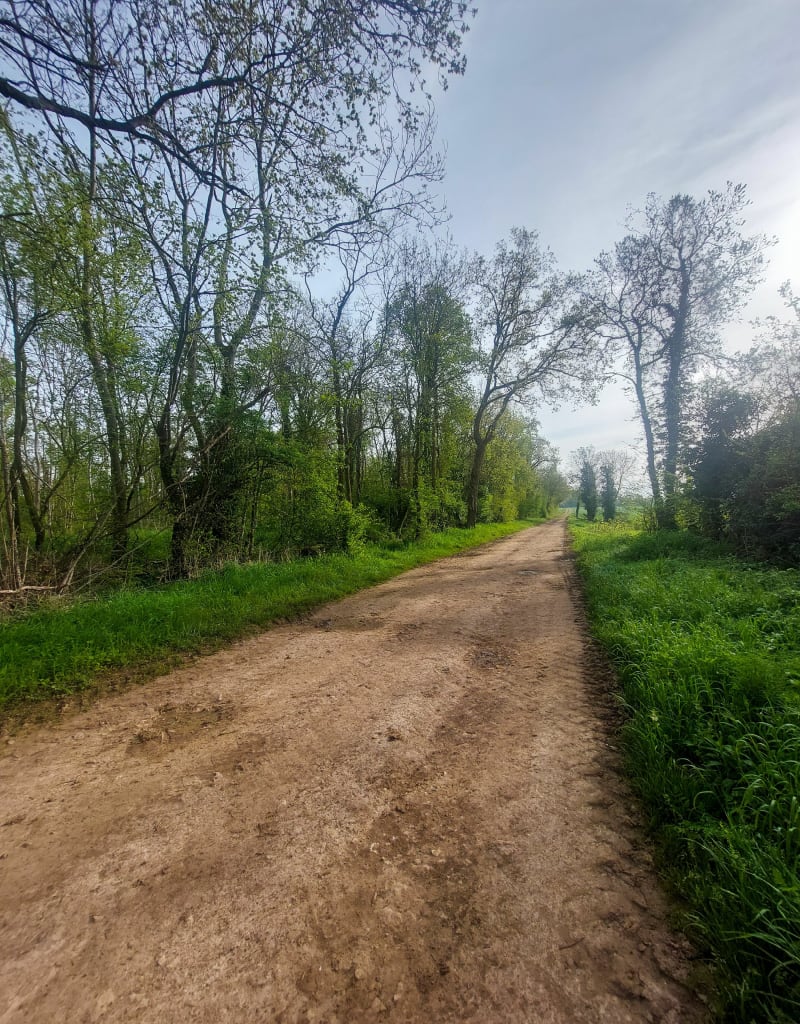 Campagne normande à Vexin-sur-Epte - Vexin-sur-Epte