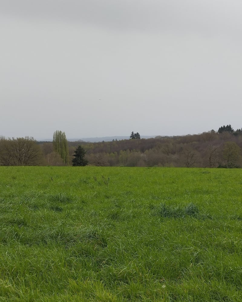 Boucle entre Chaptelat Le Theillol et Chantegrelle - Chaptelat