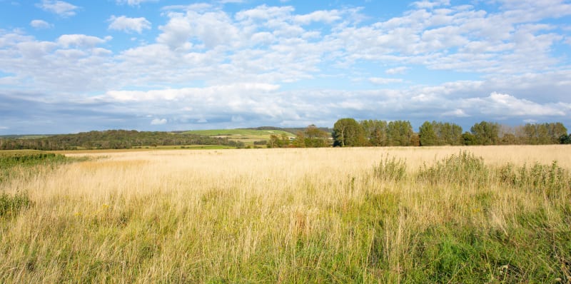 Balade sur les monts autour de Rinxent - Rinxent
