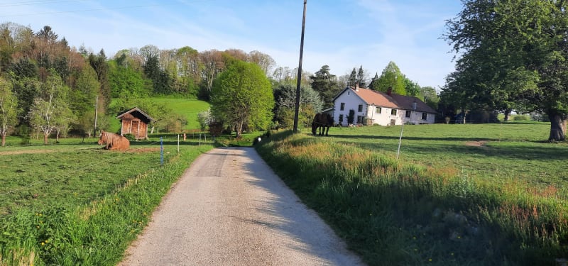 Trail des cerises à Fougerolles - Fougerolles-Saint-Valbert