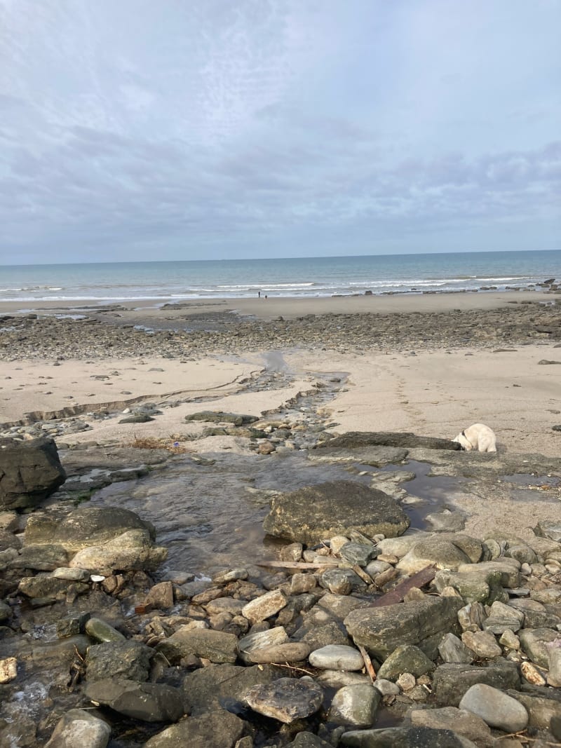 Boucle d'Alprech par le Fort, le Phare, autour de l'Aérodrome - Le Portel
