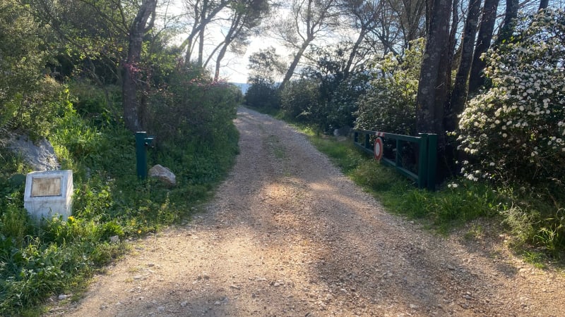 Balade sur les hauteurs de Cuges les Pins . - Cuges-les-Pins
