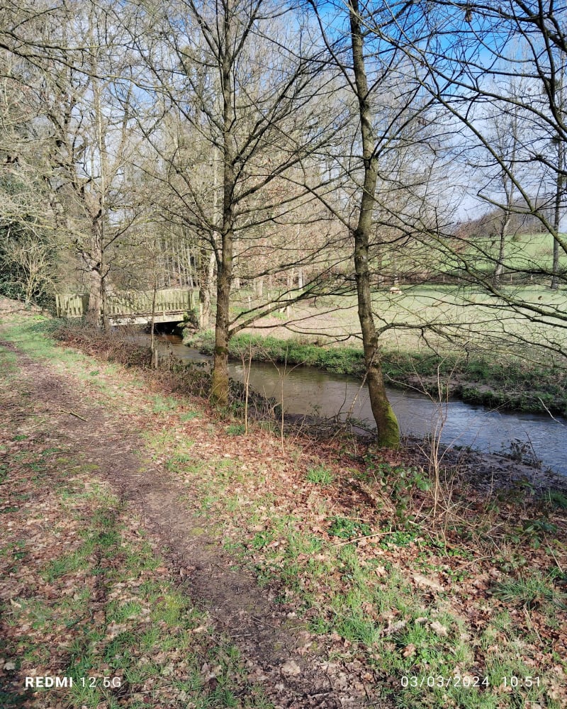 Balade et châteaux à Saint-Brice-en-Coglès - Maen Roch