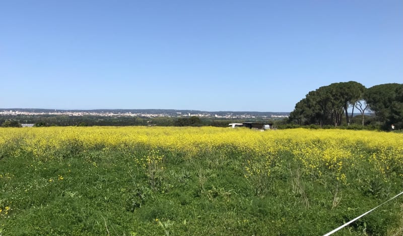 Balade avec vue sur Nîmes - Garons