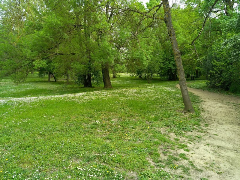 Parc des quinze sols - Beauzelle