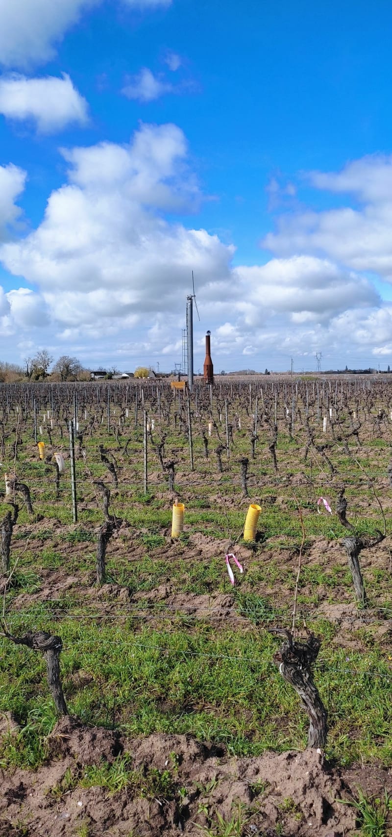 La boucle des vins de Saint Nicolas - Chouzé-sur-Loire
