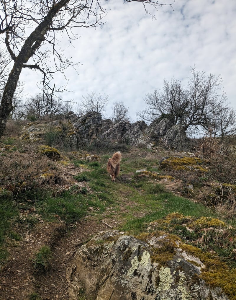 Balade au Roc de Miramont - Centrès