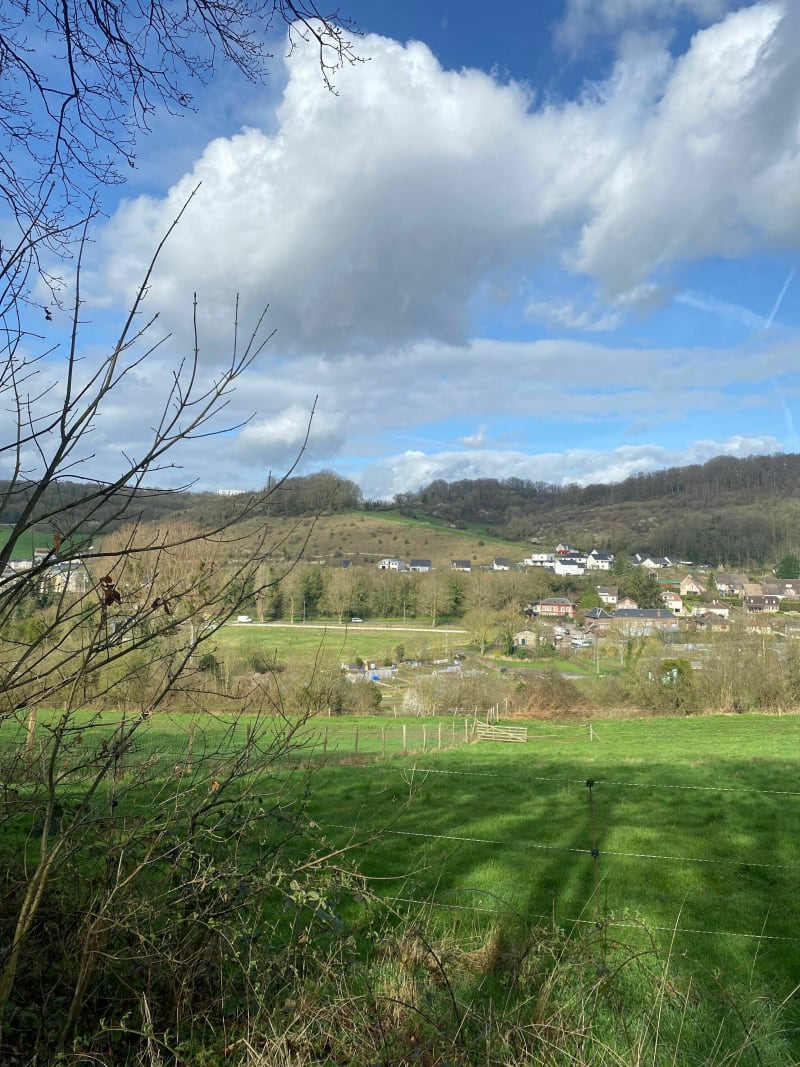 Balade forêt entre Darnétal et Roncherolles - Darnétal