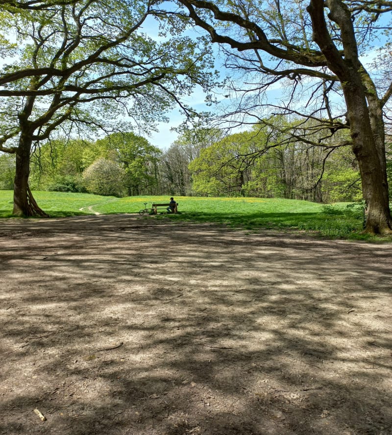 Bois de  velizy - Vélizy-Villacoublay