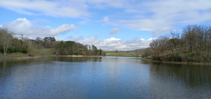 La Pomarede, lac et forêt - La Pomarède