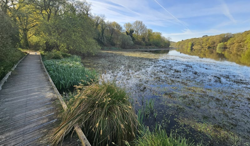 Wandeling Brech en Loc'h via Trézelén - Brech