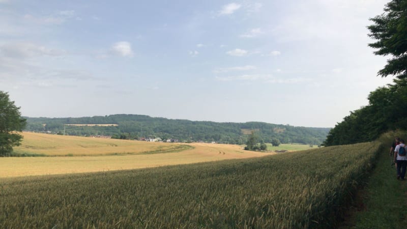 Boucle de Blainville par le bois la grippe et Charmois - Blainville-sur-l'Eau