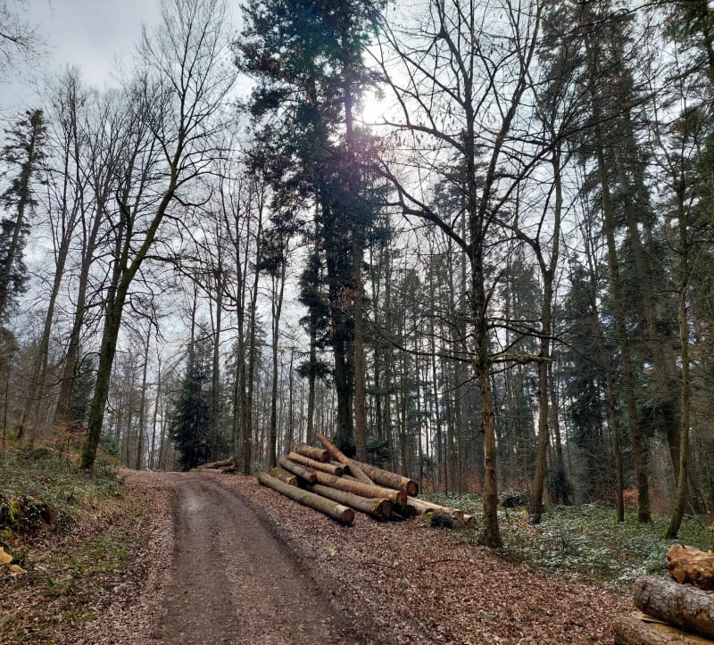 Itinéraire à Kœstlach - Kœstlach