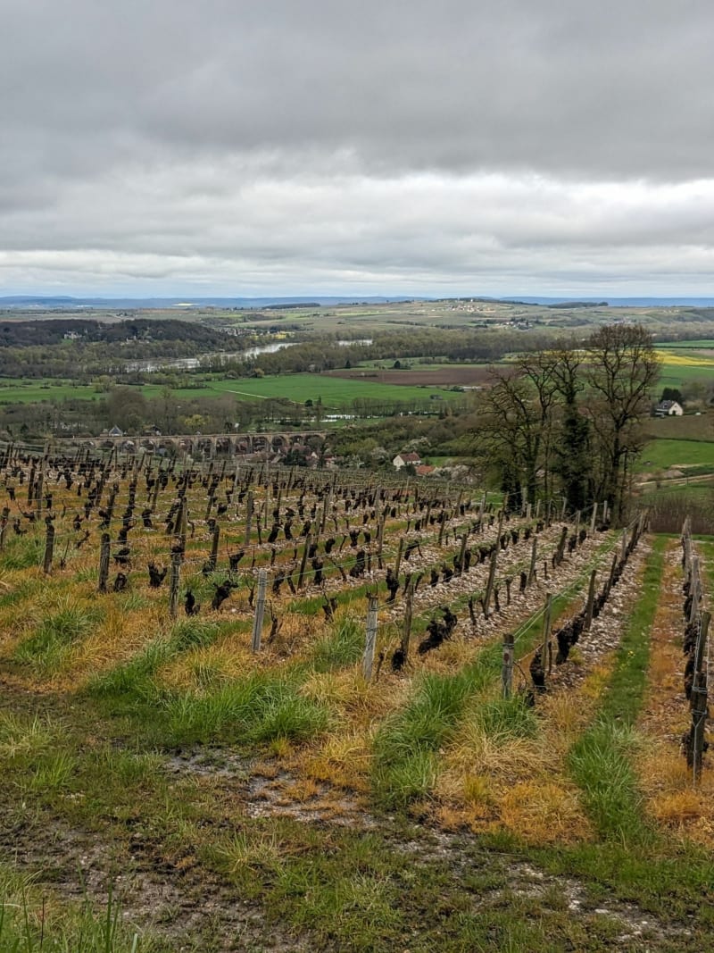 Sancerre entre vigne et forêt, par Fretoy - Sancerre