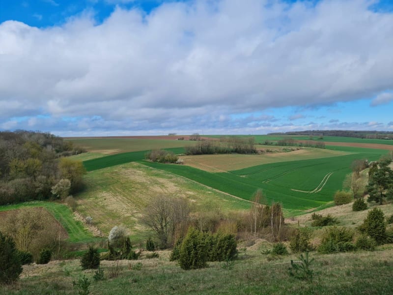 Montagne de Fignières - Fignières