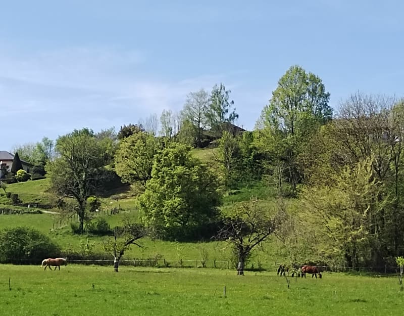 Randonnée de Lachat à partir du Forezan - Cognin