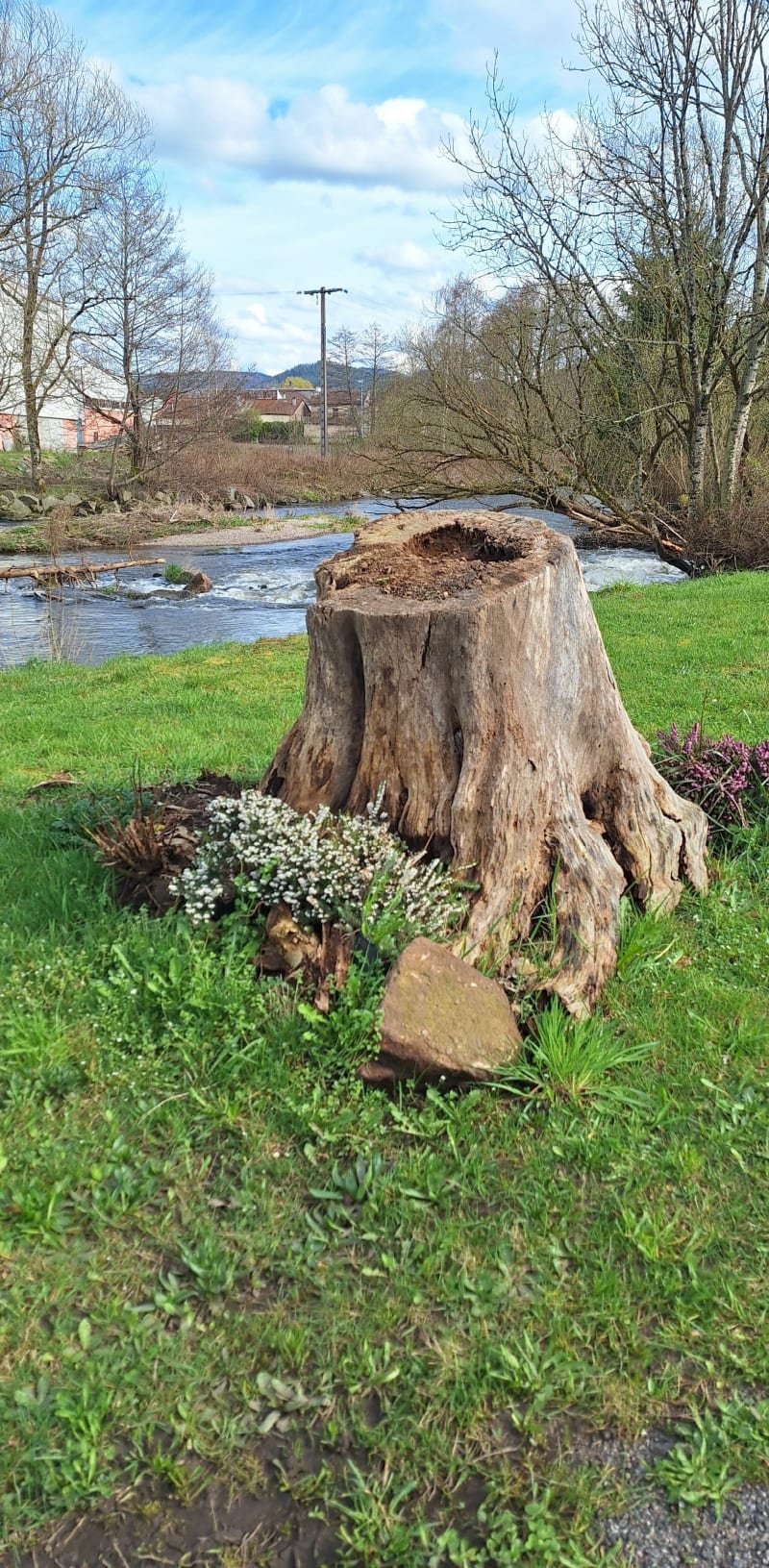 Vues sur Docelles - Docelles