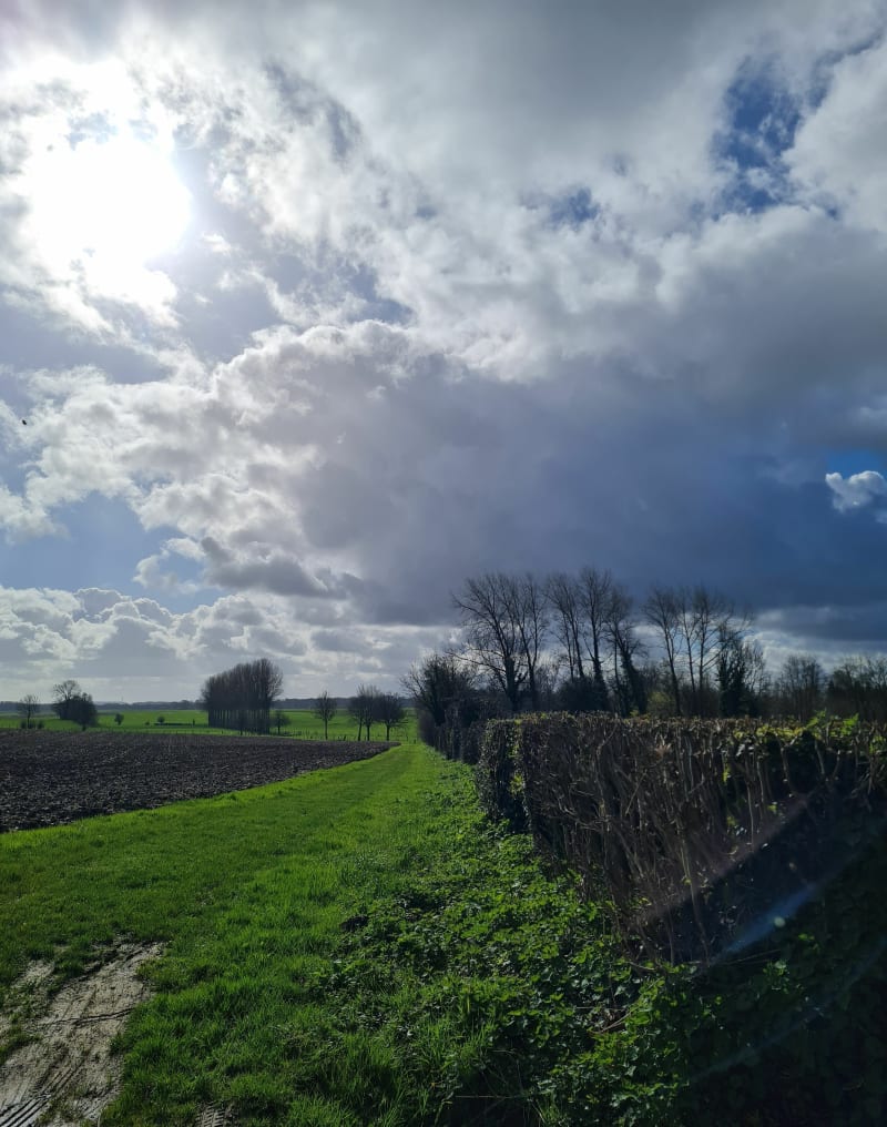 Boucle de Moncheaux-lès-Frévent, par l'Arbre Laigle - Moncheaux-lès-Frévent