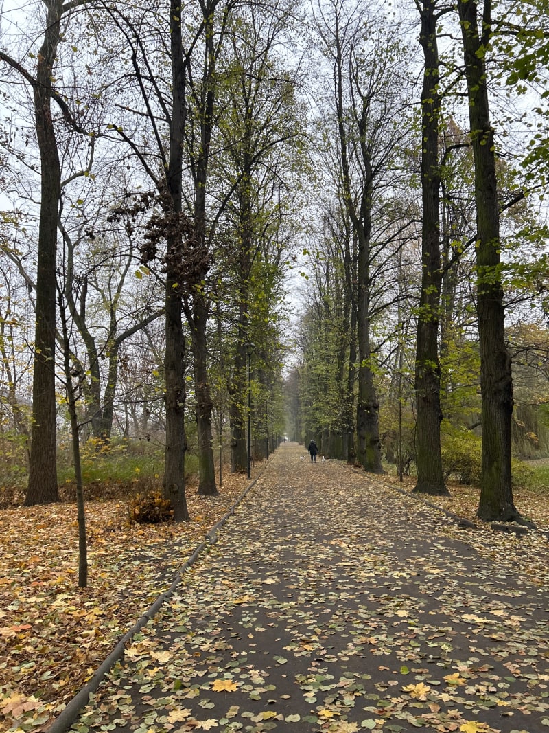 Płaska pętla 2km wokół parku miejskiego - Zabrze