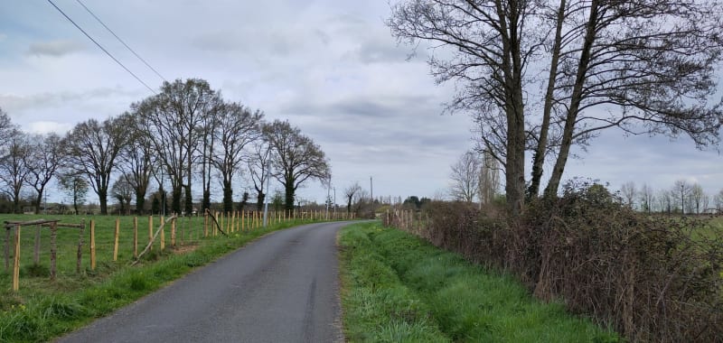 Boucle au départ de Parigné par de petites routes - Parigné-l'Évêque