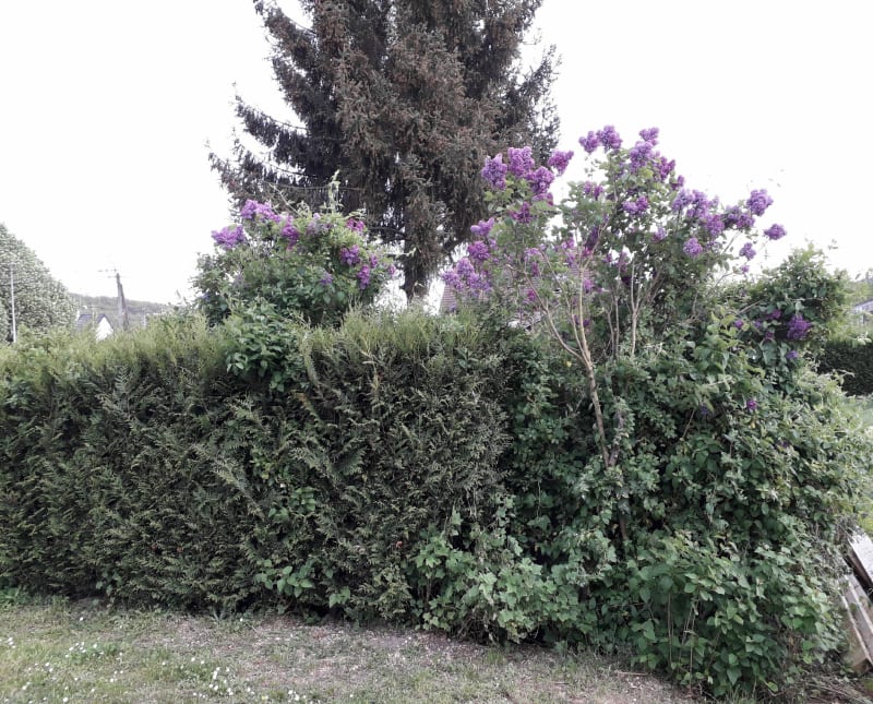 Boucle à Vic-sur-Aisne - Trosly-Breuil