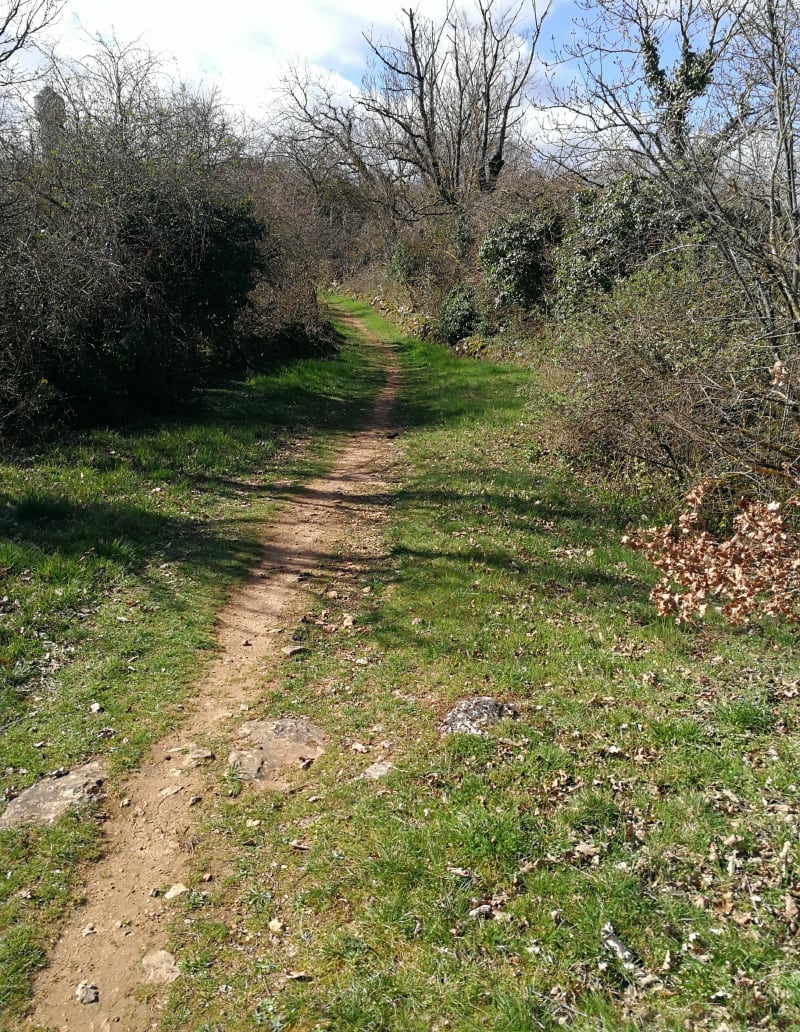 Parcourt VTT à assistance électrique facile Decathlon Rodez - Onet-le-Château