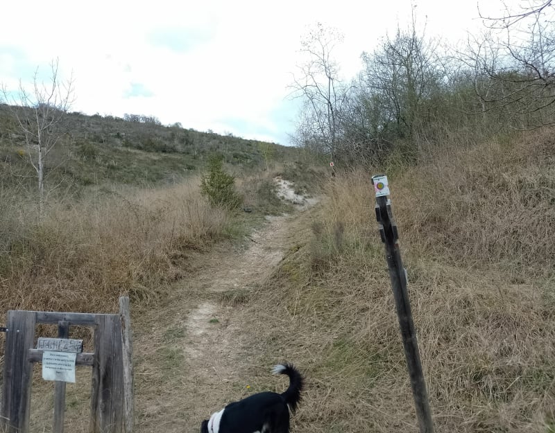 Chemin de la croix en boucle et sentier du Solitaire - Le Mas-d'Azil