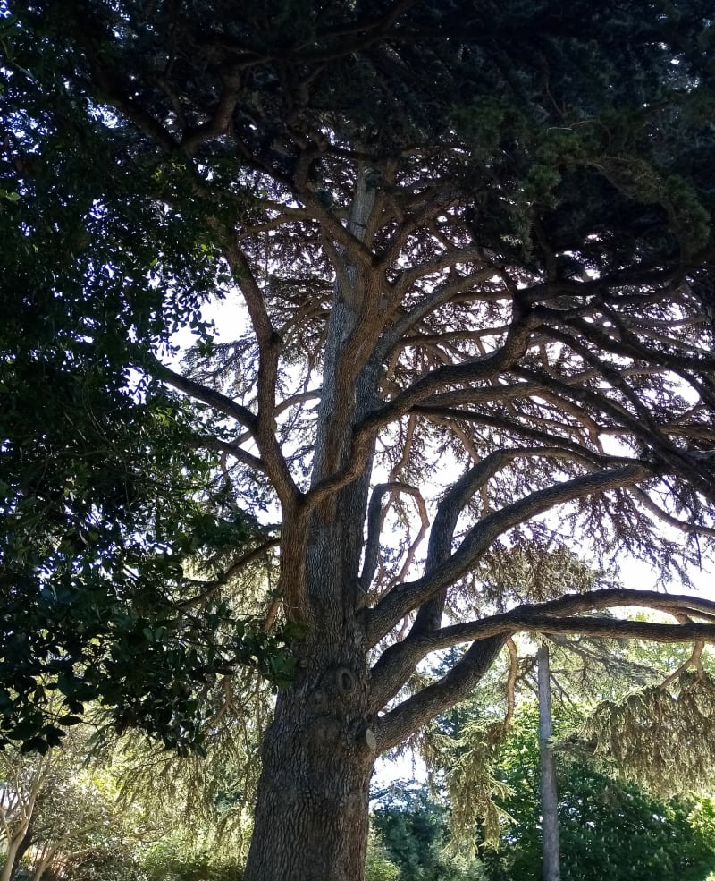 Promenade verte et Jardin du Las - Toulon