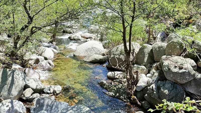 Randonnée au crêtes du Ventalon, par Soleyrols - Ventalon en Cévennes