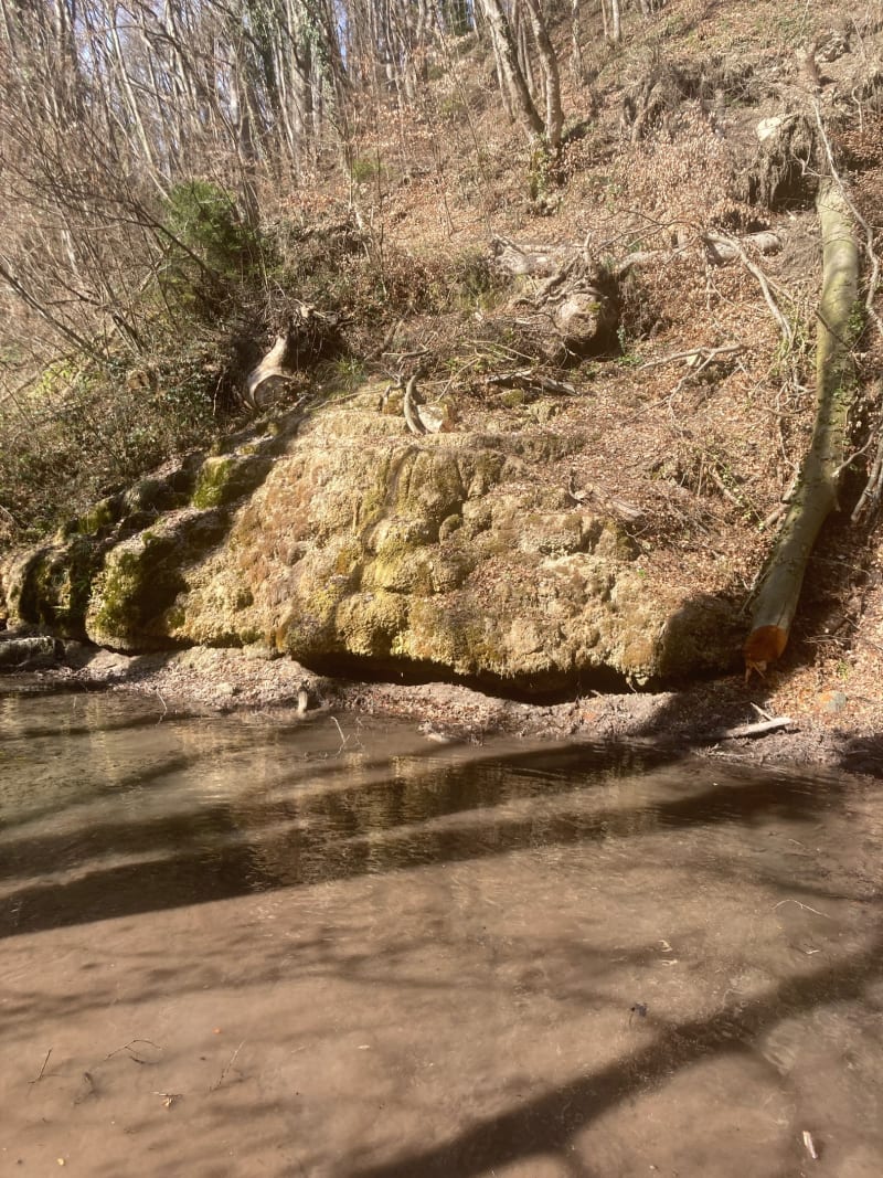 Alentours des Écuries de Gavot à l’ombre - Féternes