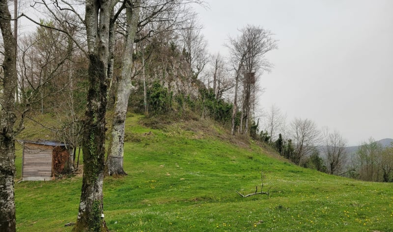 Les Paloumères d'Aïduc par Lanne-en-Barétous - Lanne-en-Barétous