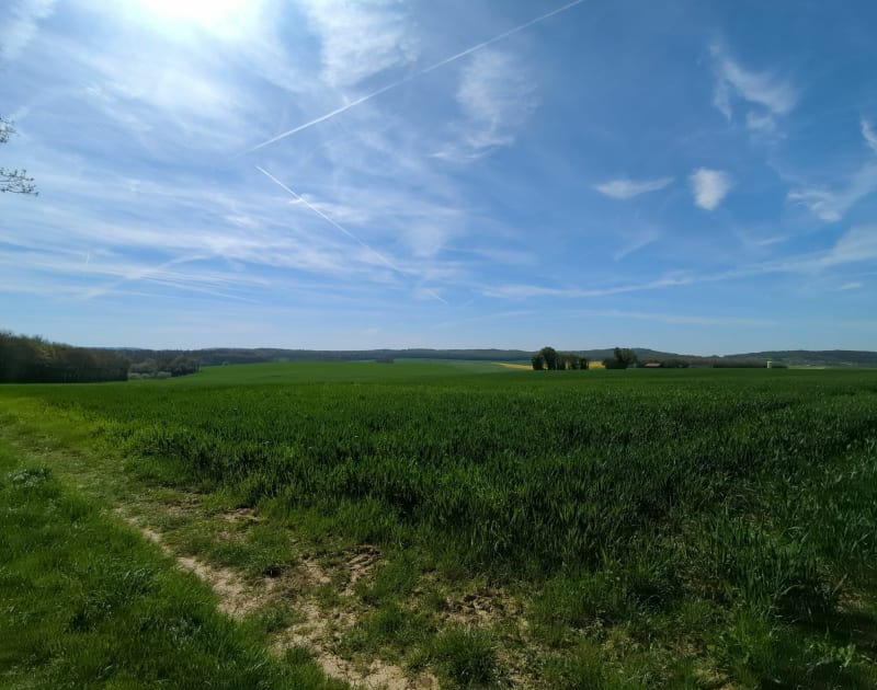 Balade entre Polaincourt et Hurecourt - Polaincourt-et-Clairefontaine