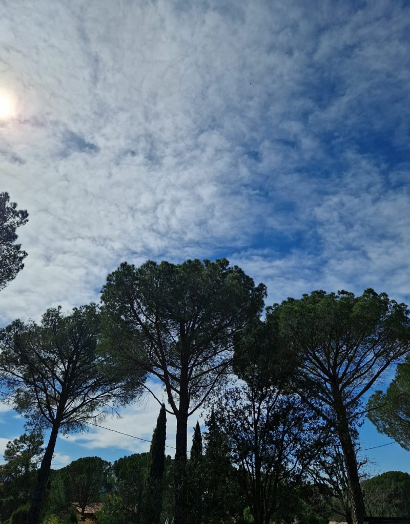Balade à Vidauban - Vidauban