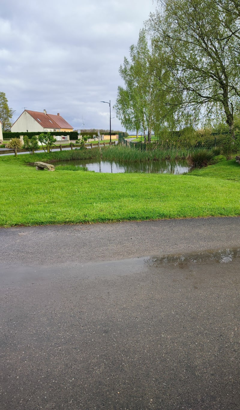 Balade au Bois d'Élencourt - Sarnois