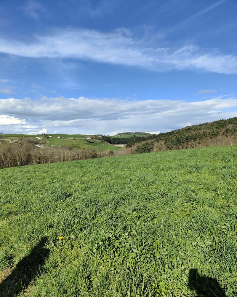 Barrage de la Gimond et Bois de Pomeys - Grézieu-le-Marché