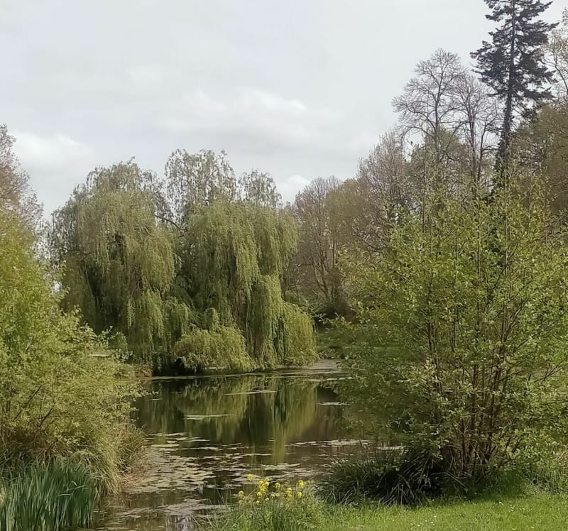 De Cale de Taden à Saint-Domineuc par le halage - Taden