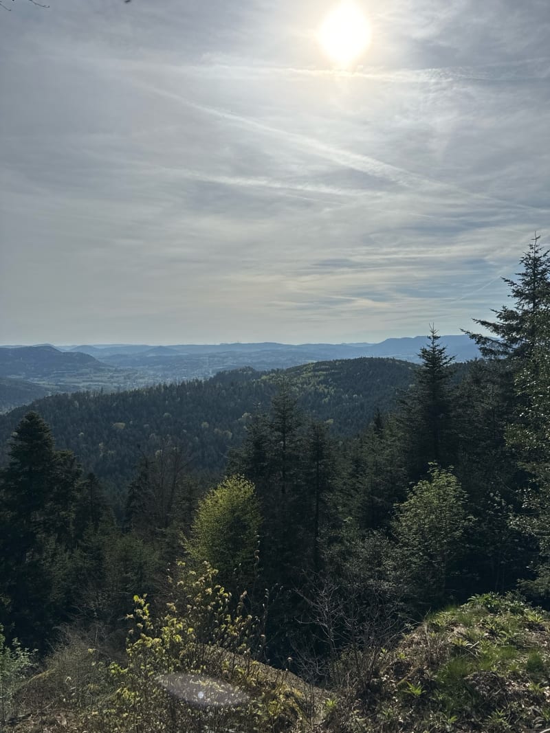 La roche du Coucou - Moyenmoutier