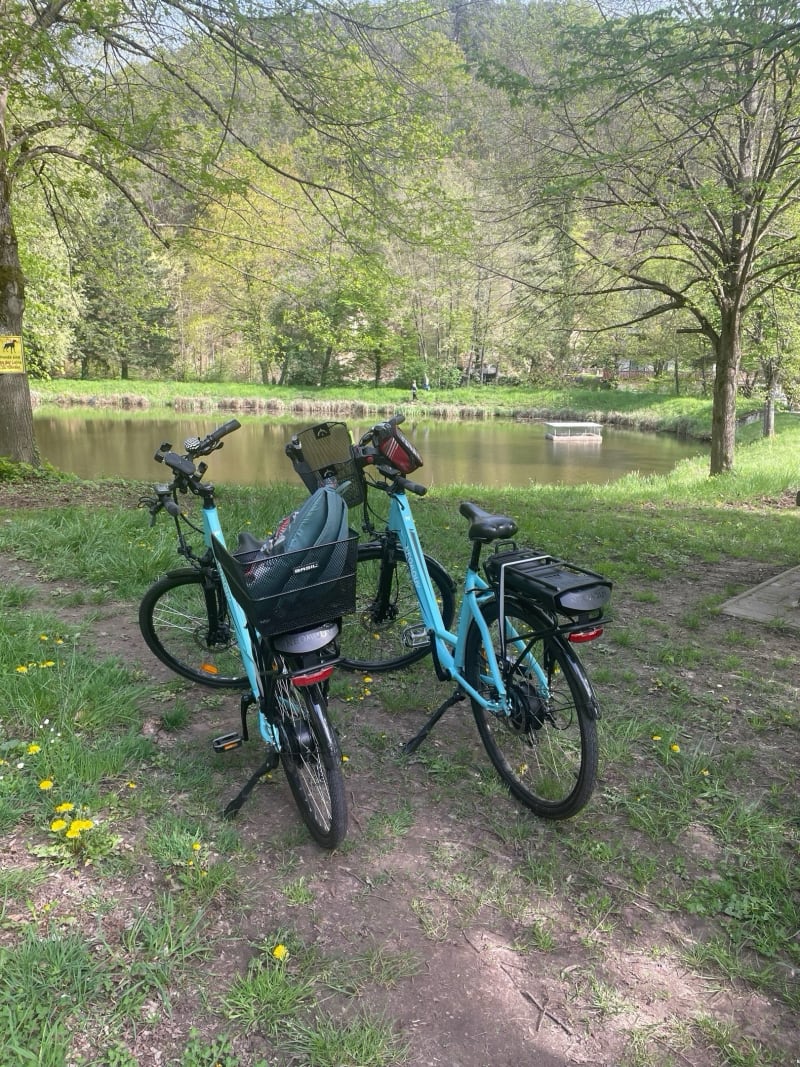 Alentours de Wissembourg - Riedseltz