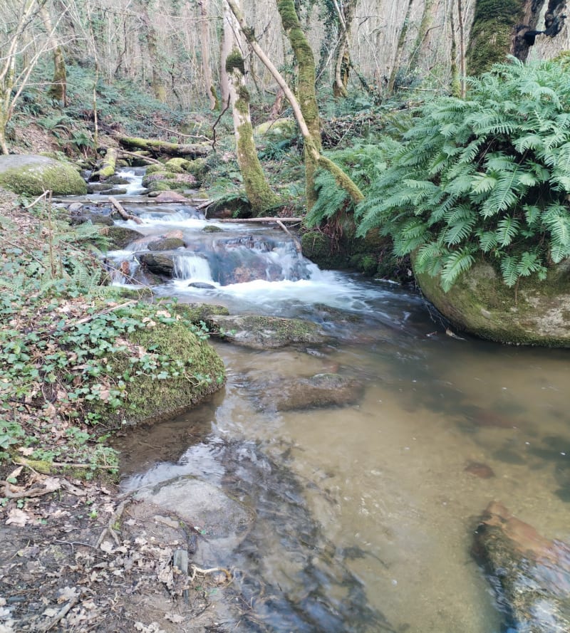 Castres à la cascade du paradis, le long de l'Agout - Castres